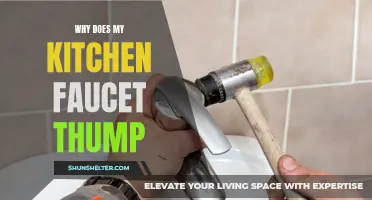 Understanding the Reasons Behind Thumping Sounds in Your Kitchen Faucet