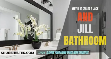 The Origins and Significance of the 'Jack and Jill' Bathroom