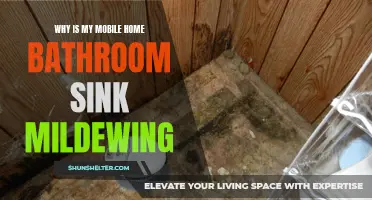 Understanding the Causes of Mildew in Mobile Home Bathroom Sinks