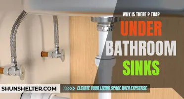 Understanding the Purpose of the P-Trap Under Bathroom Sinks