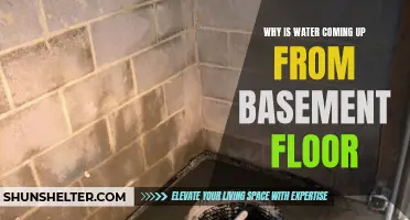 Why Water Is Coming Up from the Basement Floor: Causes and Solutions
