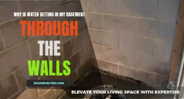 Why Water Gets into Your Basement Through the Walls and How to Fix It