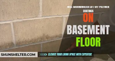 Examining the Potential Impact of Groundwater on Polymer Coatings on Basement Floors